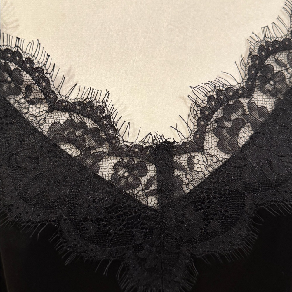 Elegant Black Lace Trim Camisole - Picture 2 of 7